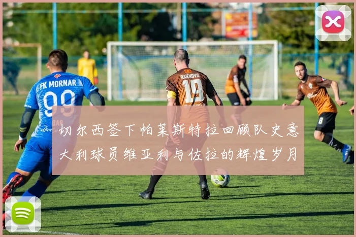 切尔西签下帕莱斯特拉回顾队史意大利球员维亚利与佐拉的辉煌岁月