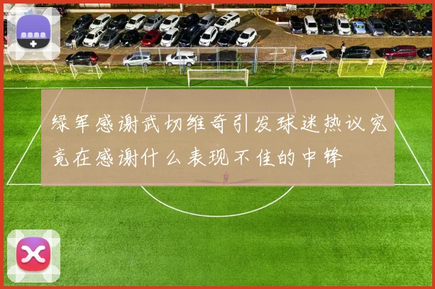 绿军感谢武切维奇引发球迷热议究竟在感谢什么表现不佳的中锋