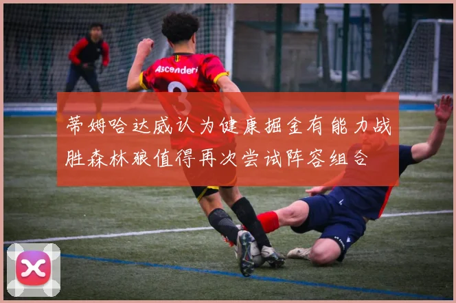 蒂姆哈达威认为健康掘金有能力战胜森林狼值得再次尝试阵容组合