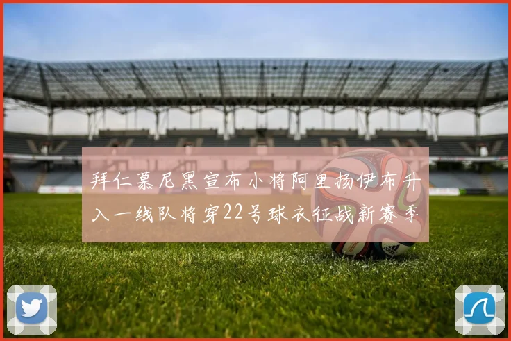 拜仁慕尼黑宣布小将阿里扬伊布升入一线队将穿22号球衣征战新赛季